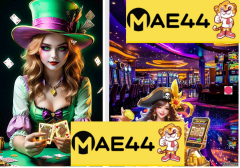 How to Manage Your Live Casino Bankroll for Safe Betting - {dede:global.cfg_webname/}