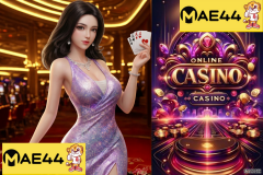 Beginners vs Pro Players — How Strategies Differ on MAE44 - {dede:global.cfg_webname/}